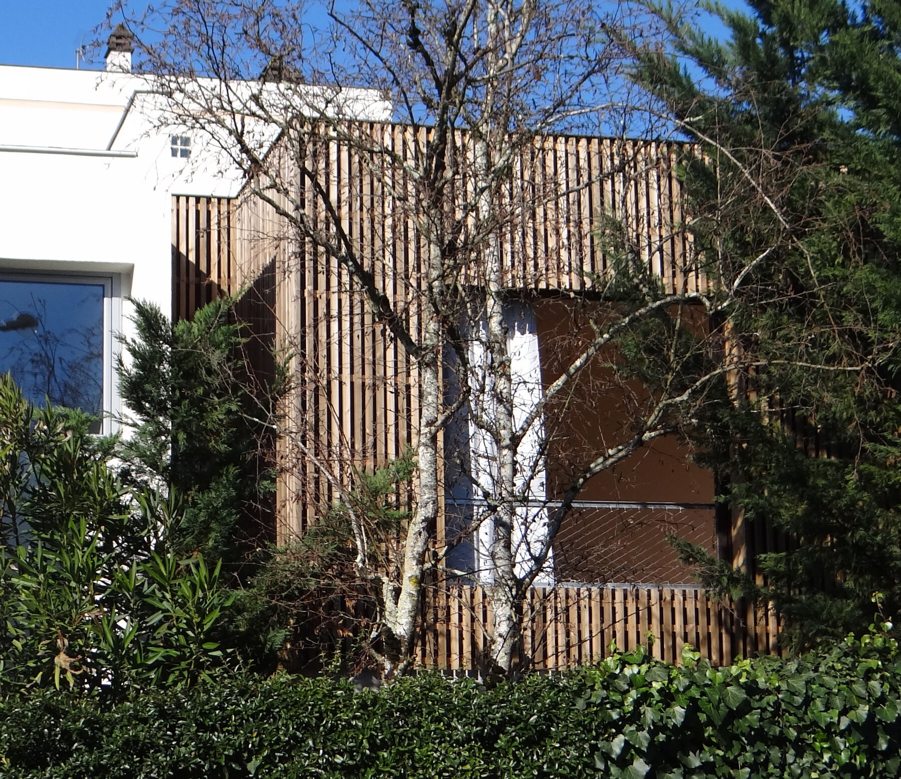 Extension - Maison individuelle par un architecte Archidvisor