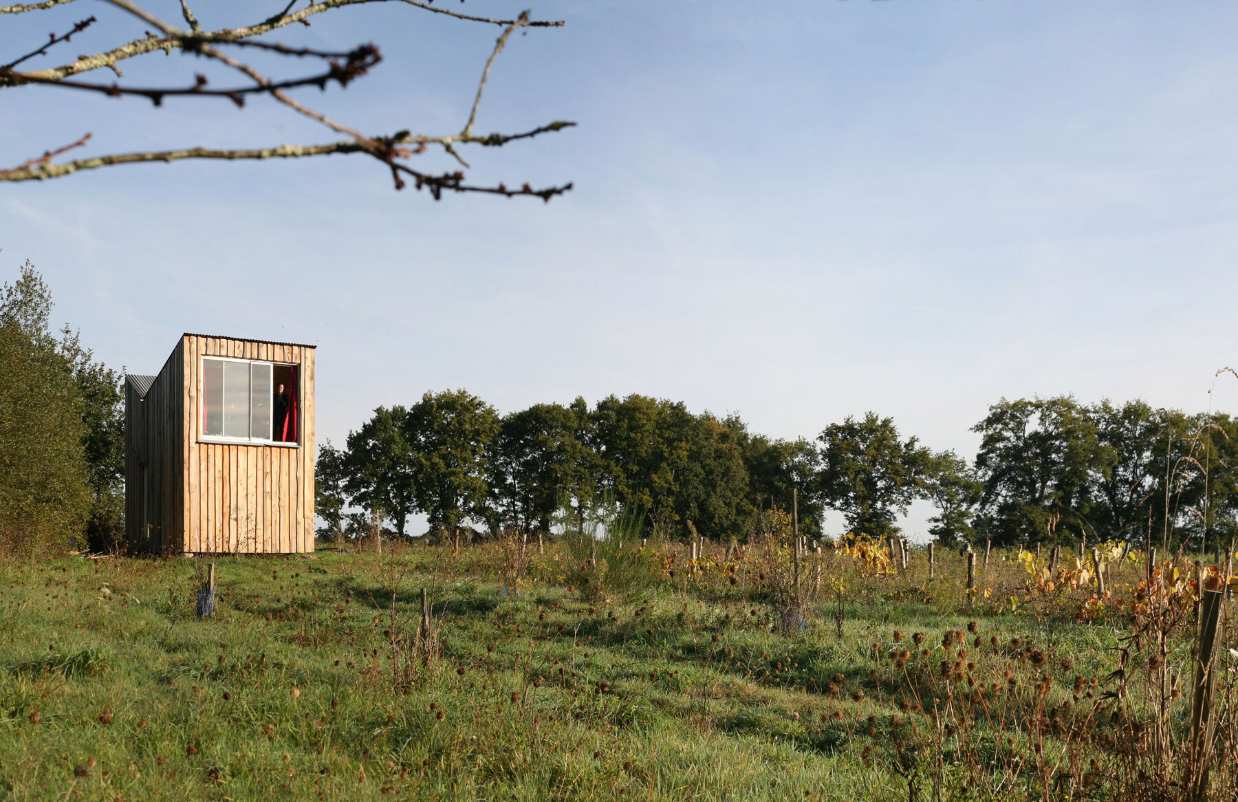 Construction neuve - Maison individuelle par un architecte Archidvisor