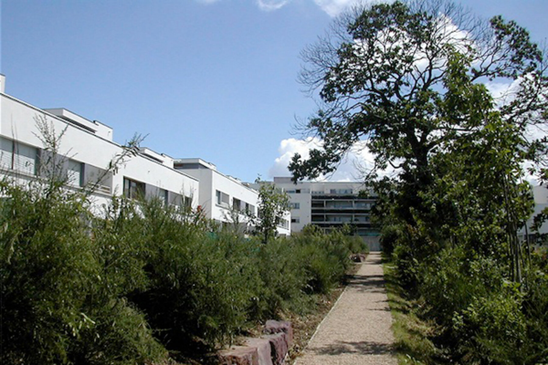 Construction neuve - Logements collectifs par un architecte Archidvisor