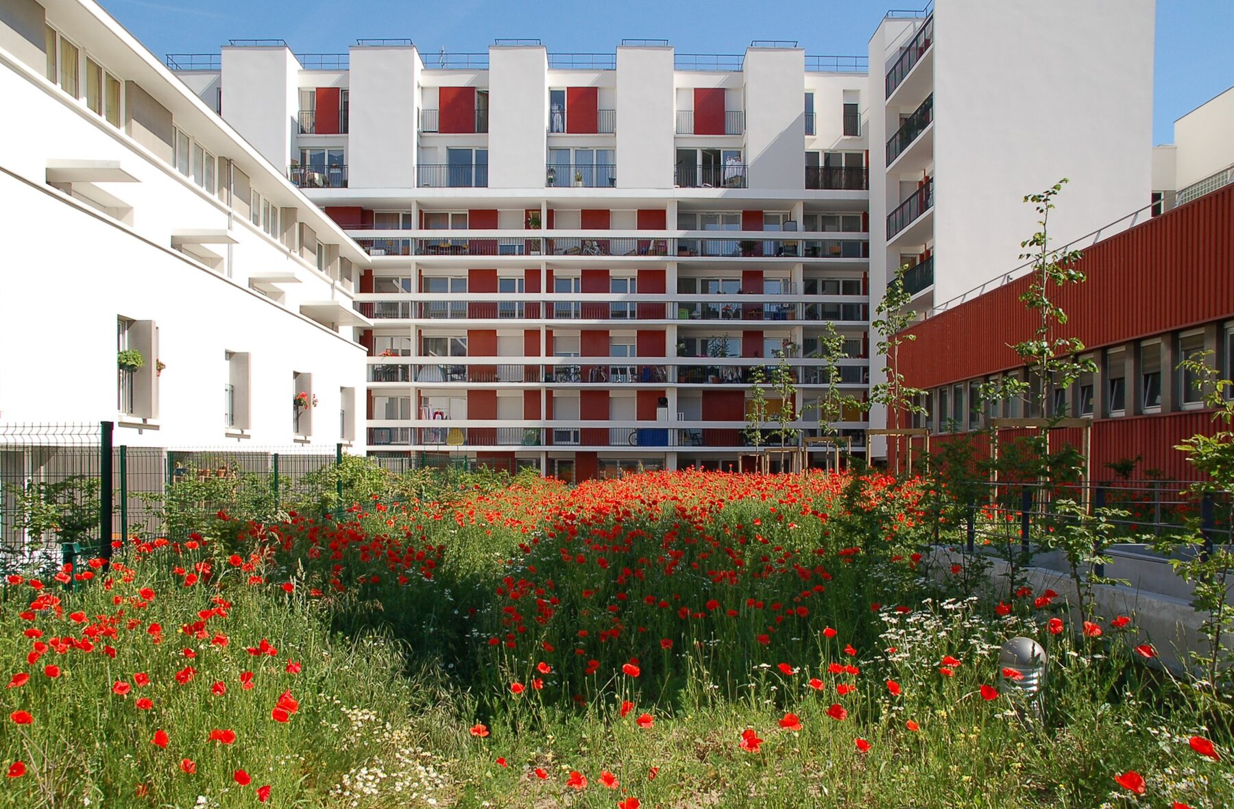 Construction neuve - Logements collectifs par un architecte Archidvisor