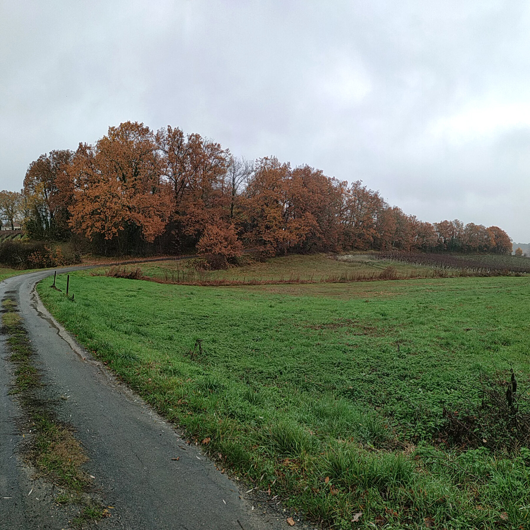 Construction neuve - Bâtiment agricole par un architecte Archidvisor