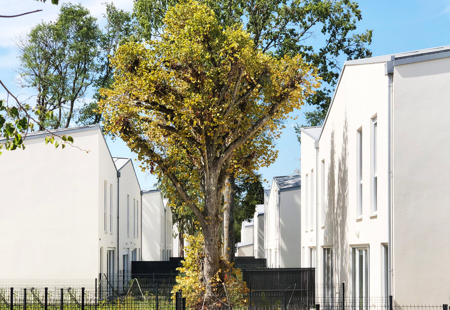 Construction neuve - Logements collectifs par un architecte Archidvisor