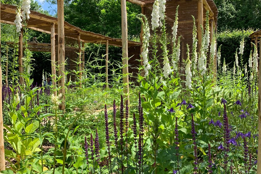 Projet Jardin zebre réalisé par un paysagiste Archidvisor