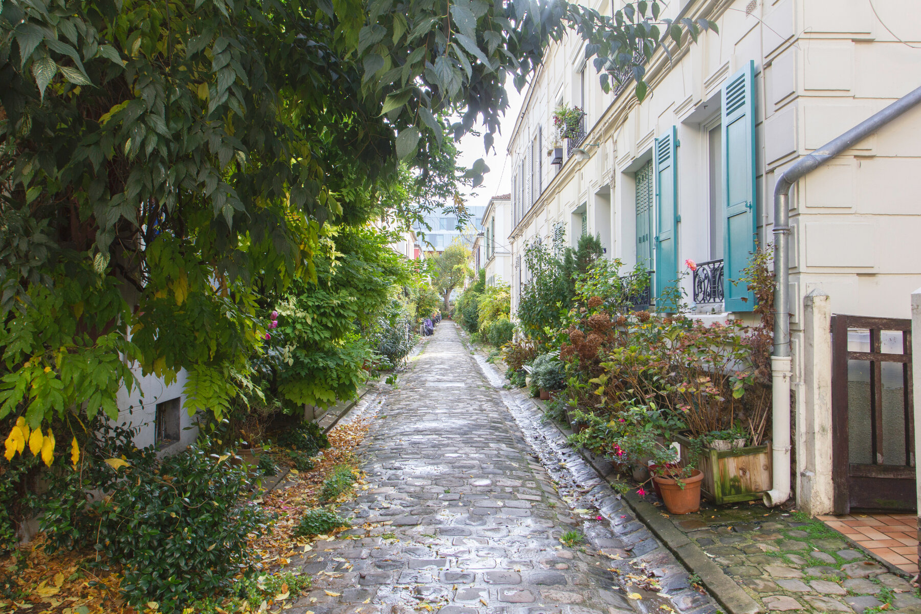 Rénovation - Appartement par un architecte Archidvisor