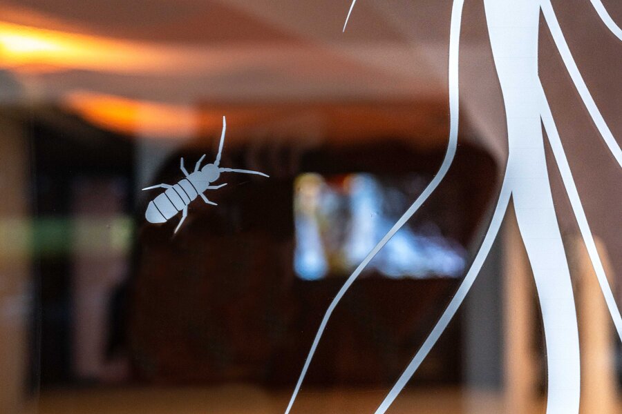 Projet Living soils réalisé par un architecte d'intérieur Archidvisor