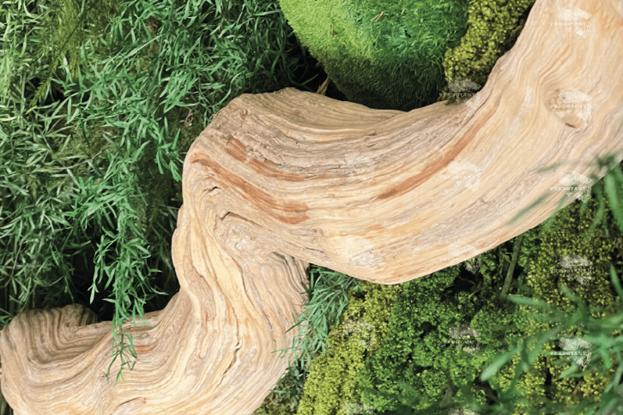 Projet Tryptique Végétal Stabilisé – Coredux Château-Thierry réalisé par un décorateur Archidvisor