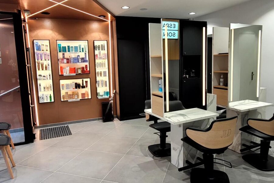 Projet JEAN LOUIS DAVID RUE BENJAMIN FRANCKLIN PARIS réalisé par un architecte d'intérieur Archidvisor