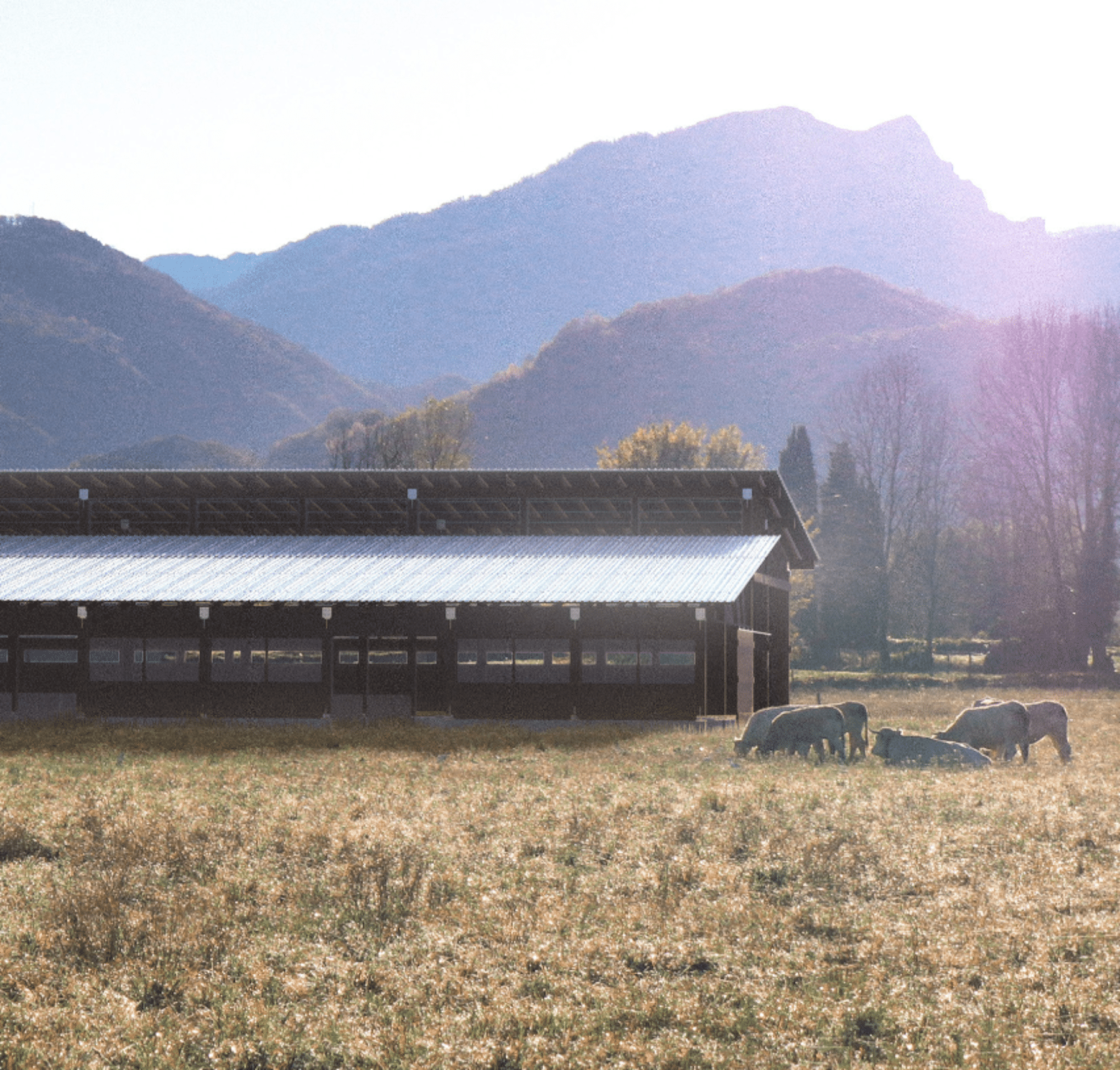 Construction neuve - Bâtiment agricole par un architecte Archidvisor