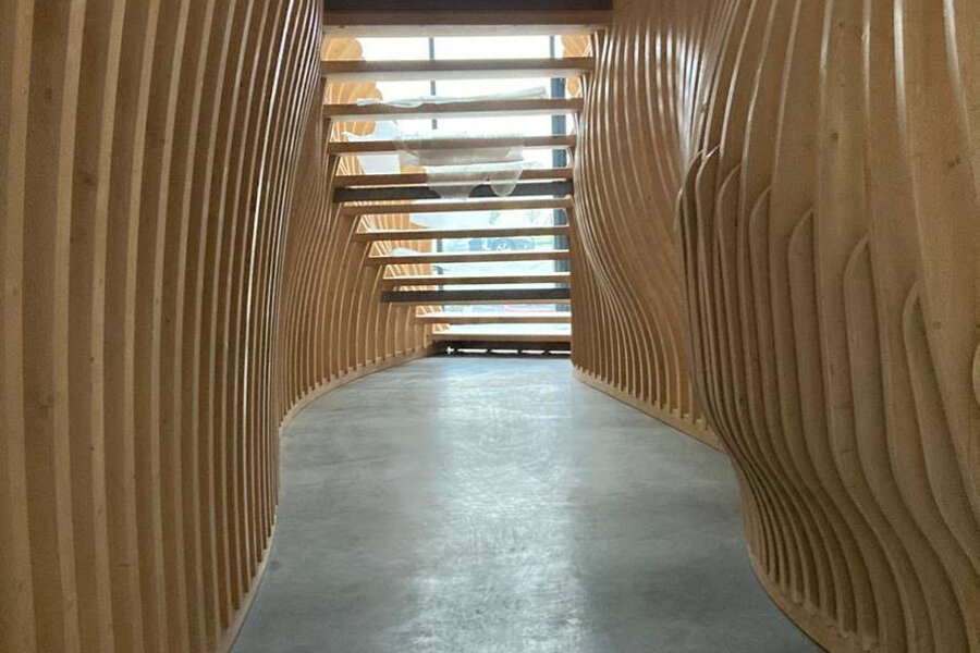 Projet Escalier monumental paramétrique réalisé par un architecte Archidvisor