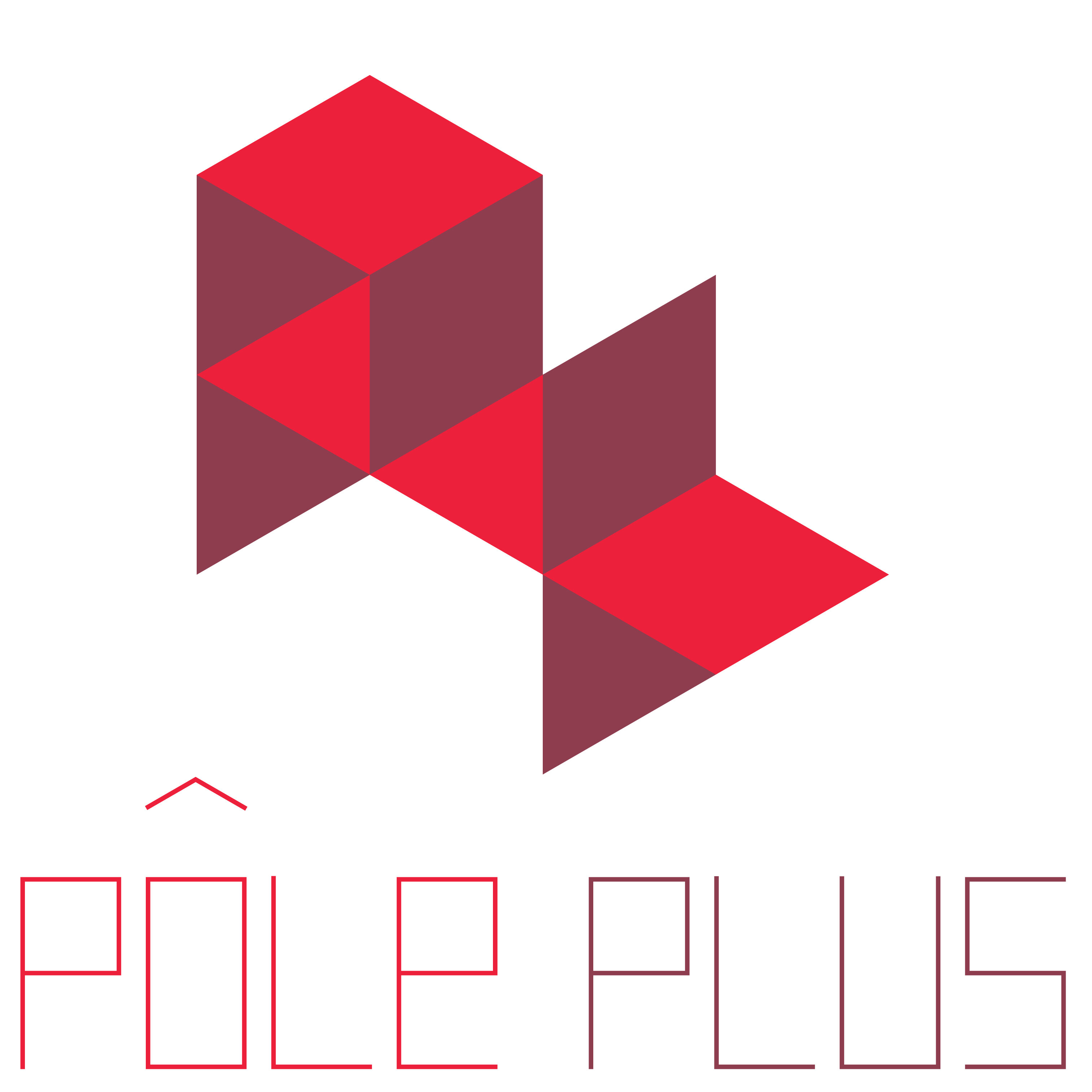 PôlePLUS architecture