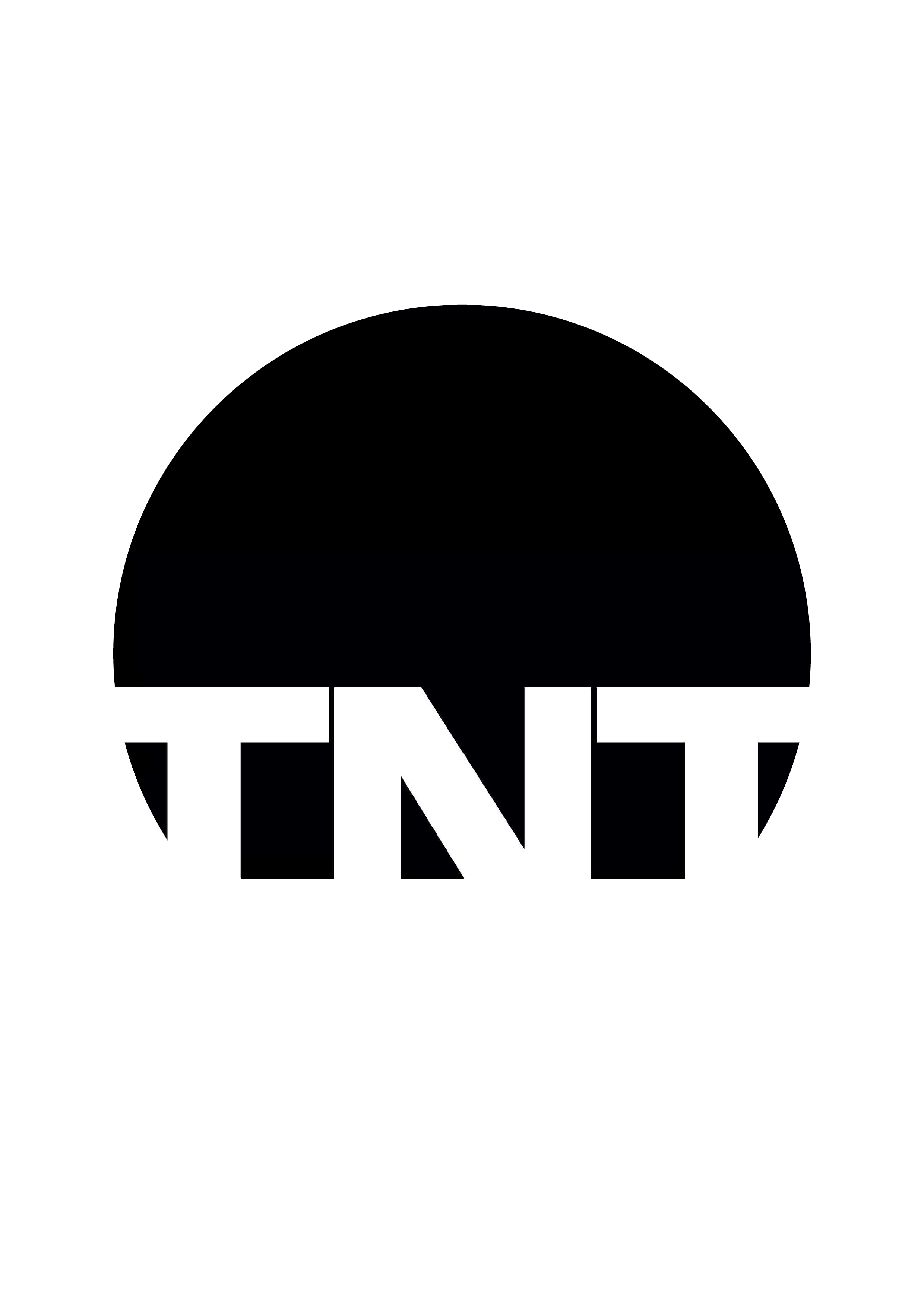 TNT ARCHITECTURE