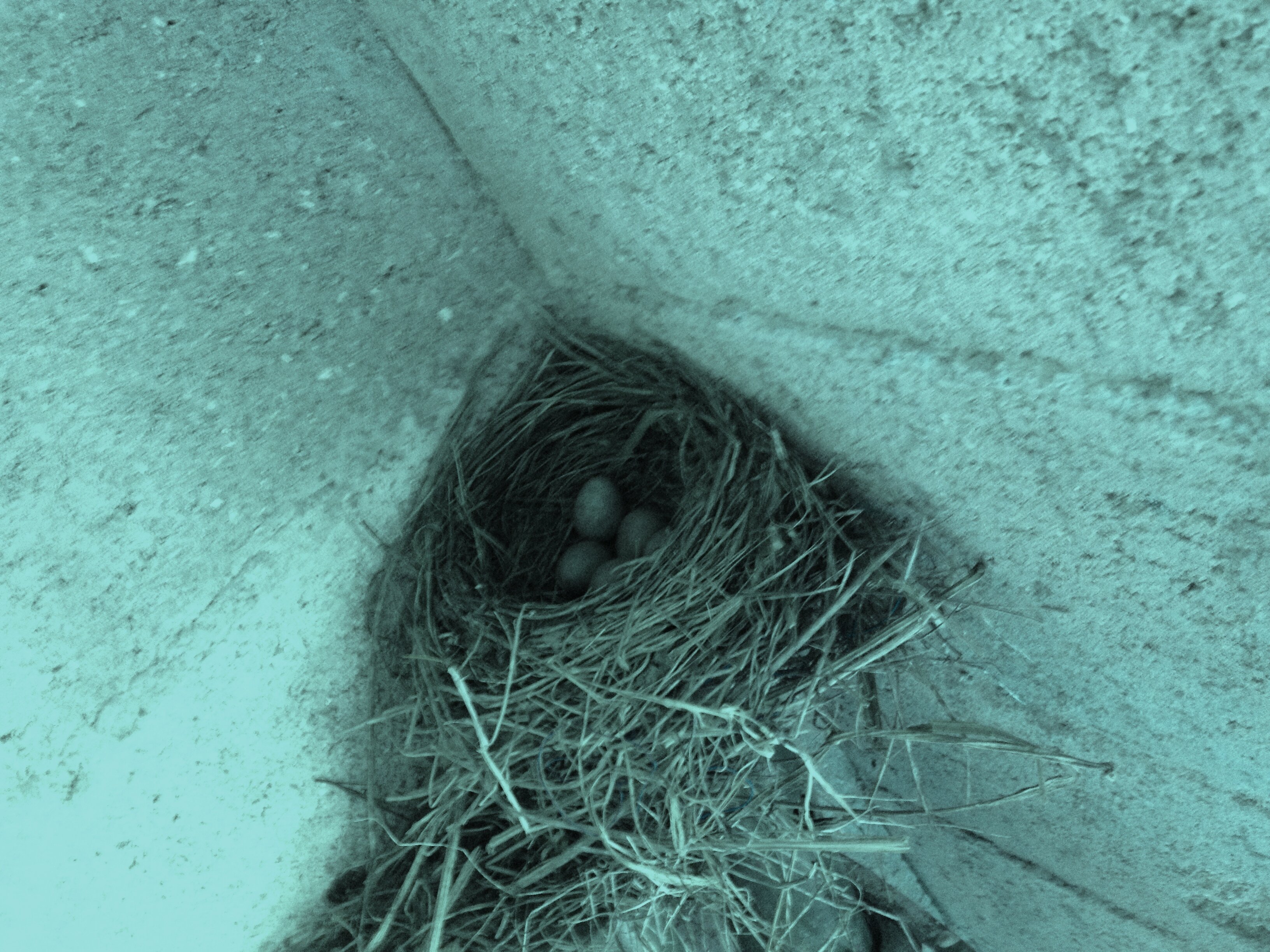 fanny Bernard Architecte sarl