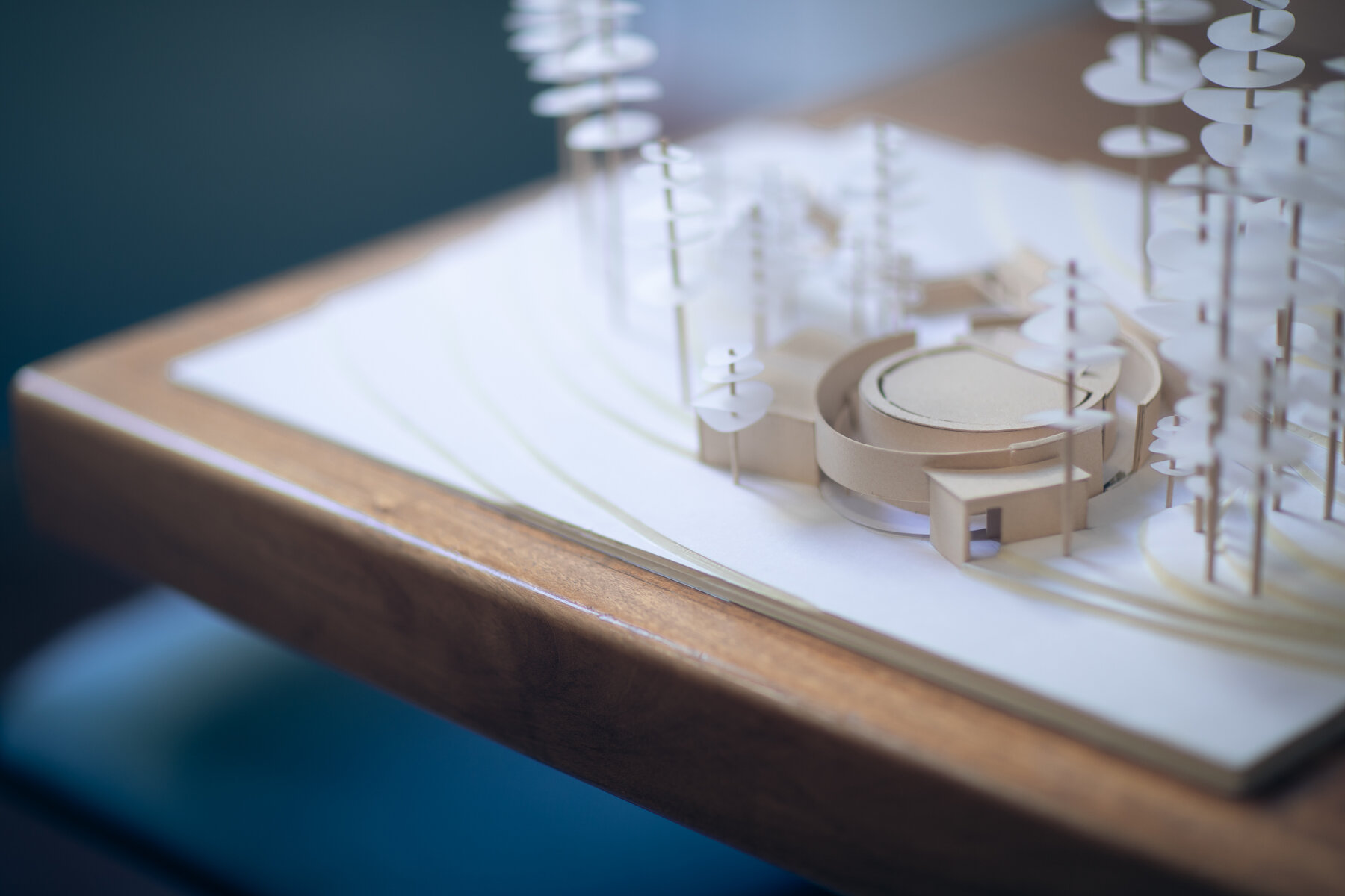 Photo Couverture de RUE BLEUE ARCHITECTURE - Réalisations architecte Archidvisor